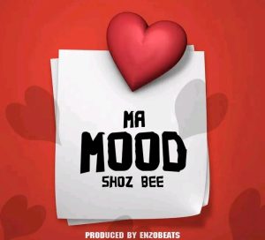 Shoz B Ma Mood Produced by enzobeats mp3 image