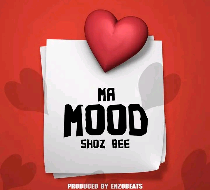 Shoz B Ma Mood Produced by enzobeats mp3 image